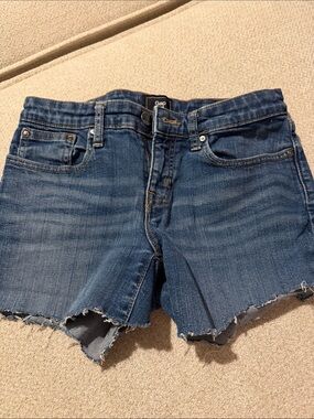 GAP Women's Blue Denim Jean Shorts